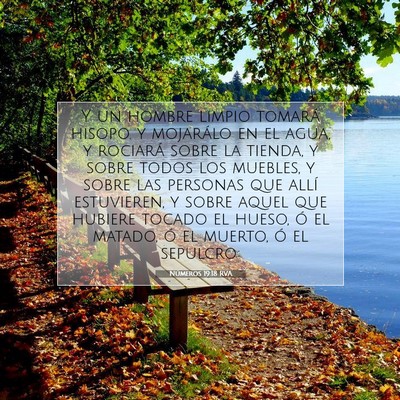 Picture 07 - Números 19:18 RVA - Y un hombre limpio tomará hisopo. y mojarálo en - Bible Verse Picture