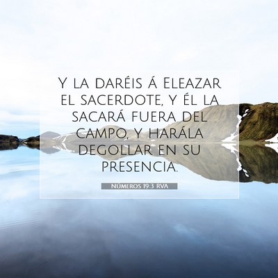 Picture 07 - Números 19:3 RVA - Y la daréis á Eleazar el sacerdote, y él la - Bible Verse Picture