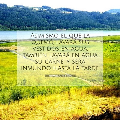 Picture 07 - Números 19:8 RVA - Asimismo el que la quemó, lavará sus vestidos - Bible Verse Picture