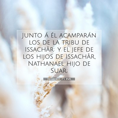 Picture 07 - Números 2:5 RVA - Junto á él acamparán los de la tribu de - Bible Verse Picture
