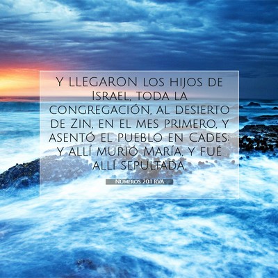 Picture 07 - Números 20:1 RVA - Y LLEGARON los hijos de Israel, toda la - Bible Verse Picture