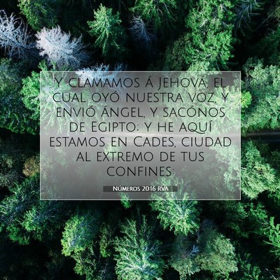 Picture 07 - Números 20:16 RVA - Y clamamos á Jehová, el cual oyó nuestra voz, - Bible Verse Picture