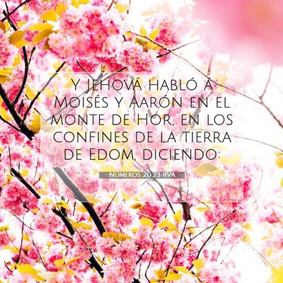 Picture 07 - Números 20:23 RVA - Y Jehová habló á Moisés y Aarón en el monte - Bible Verse Picture