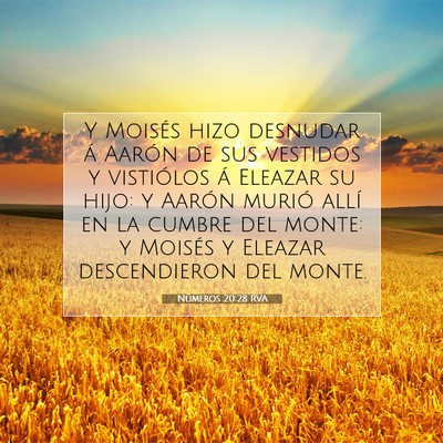 Picture 07 - Números 20:28 RVA - Y Moisés hizo desnudar á Aarón de sus vestidos - Bible Verse Picture