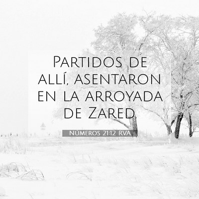 Picture 07 - Números 21:12 RVA - Partidos de allí, asentaron en la arroyada de - Bible Verse Picture