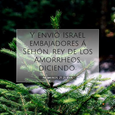 Picture 07 - Números 21:21 RVA - Y envió Israel embajadores á Sehón, rey de los - Bible Verse Picture