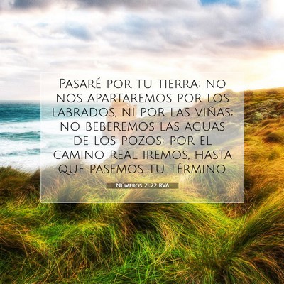 Picture 07 - Números 21:22 RVA - Pasaré por tu tierra: no nos apartaremos por los - Bible Verse Picture