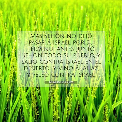 Picture 07 - Números 21:23 RVA - Mas Sehón no dejó pasar á Israel por su - Bible Verse Picture