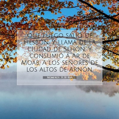 Picture 07 - Números 21:28 RVA - Que fuego salió de Hesbón, Y llama de la ciudad - Bible Verse Picture