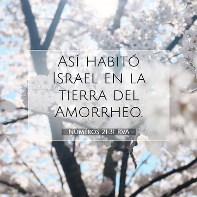 Picture 07 - Números 21:31 RVA - Así habitó Israel en la tierra del - Bible Verse Picture