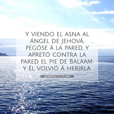 Picture 07 - Números 22:25 RVA - Y viendo el asna al ángel de Jehová, pegóse á - Bible Verse Picture