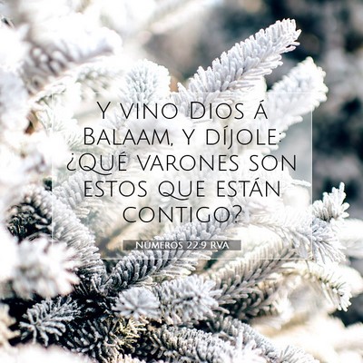 Picture 07 - Números 22:9 RVA - Y vino Dios á Balaam, y díjole: ¿Qué varones - Bible Verse Picture
