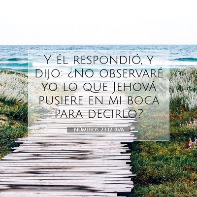 Picture 07 - Números 23:12 RVA - Y él respondió, y dijo: ¿No observaré yo lo - Bible Verse Picture