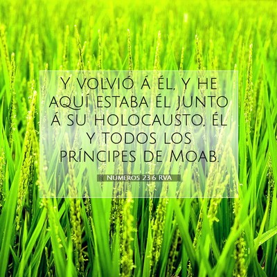 Picture 07 - Números 23:6 RVA - Y volvió á él, y he aquí estaba él junto á - Bible Verse Picture