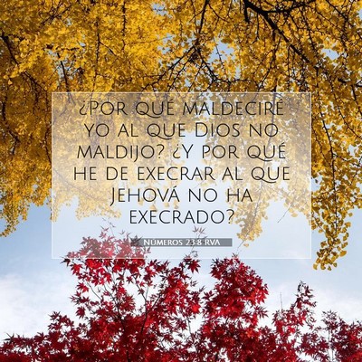 Picture 07 - Números 23:8 RVA - ¿Por qué maldeciré yo al que Dios no maldijo? - Bible Verse Picture