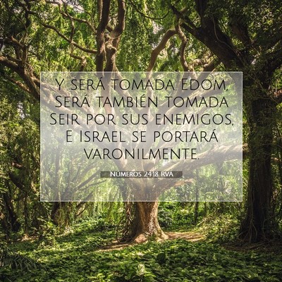 Picture 07 - Números 24:18 RVA - Y será tomada Edom, Será también tomada Seir - Bible Verse Picture