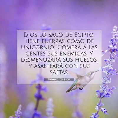 Picture 07 - Números 24:8 RVA - Dios lo sacó de Egipto; Tiene fuerzas como de - Bible Verse Picture