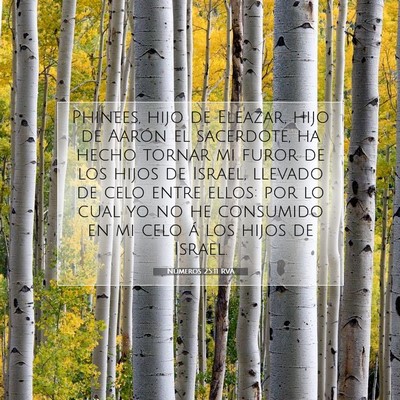 Picture 07 - Números 25:11 RVA - Phinees, hijo de Eleazar, hijo de Aarón el - Bible Verse Picture