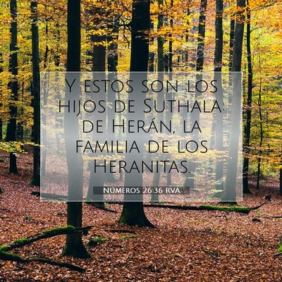 Picture 07 - Números 26:36 RVA - Y estos son los hijos de Suthala: de Herán, la - Bible Verse Picture