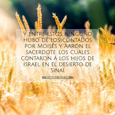 Picture 07 - Números 26:64 RVA - Y entre estos ninguno hubo de los contados por - Bible Verse Picture