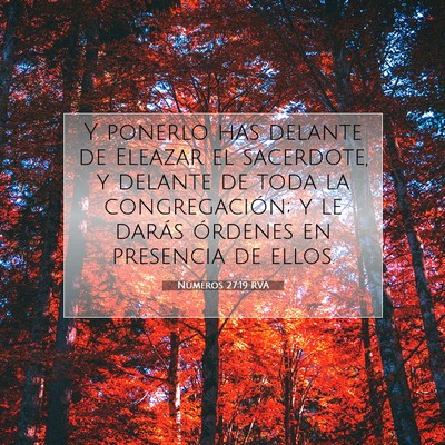 Picture 07 - Números 27:19 RVA - Y ponerlo has delante de Eleazar el sacerdote, y - Bible Verse Picture