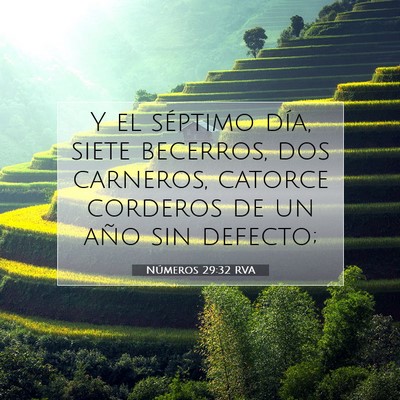Picture 07 - Números 29:32 RVA - Y el séptimo día, siete becerros, dos carneros, - Bible Verse Picture