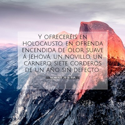 Picture 07 - Números 29:36 RVA - Y ofreceréis en holocausto, en ofrenda encendida - Bible Verse Picture
