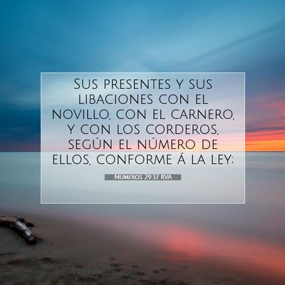 Picture 07 - Números 29:37 RVA - Sus presentes y sus libaciones con el novillo, - Bible Verse Picture