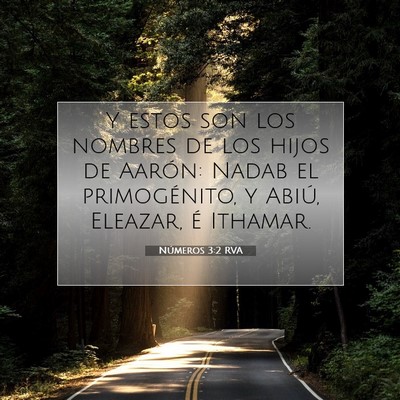 Picture 07 - Números 3:2 RVA - Y estos son los nombres de los hijos de Aarón: - Bible Verse Picture