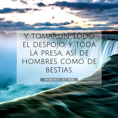 Picture 07 - Números 31:11 RVA - Y tomaron todo el despojo, y toda la presa, así - Bible Verse Picture