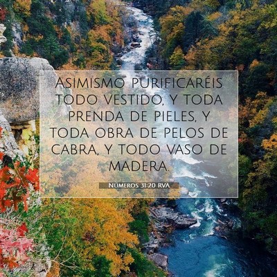 Picture 07 - Números 31:20 RVA - Asimismo purificaréis todo vestido, y toda - Bible Verse Picture