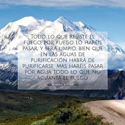 Picture 07 - Números 31:23 RVA - Todo lo que resiste el fuego, por fuego lo - Bible Verse Picture