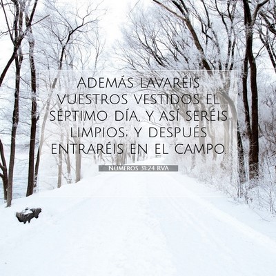 Picture 07 - Números 31:24 RVA - Además lavaréis vuestros vestidos el séptimo - Bible Verse Picture