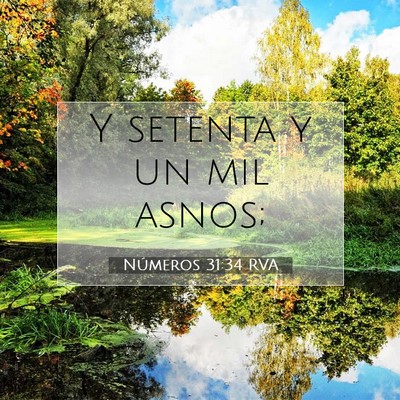 Picture 07 - Números 31:34 RVA - Y setenta y un mil - Bible Verse Picture