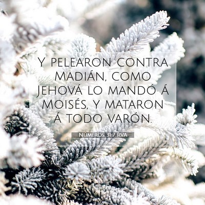 Picture 07 - Números 31:7 RVA - Y pelearon contra Madián, como Jehová lo mandó - Bible Verse Picture