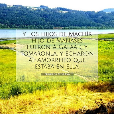 Picture 07 - Números 32:39 RVA - Y los hijos de Machîr hijo de Manasés fueron á - Bible Verse Picture
