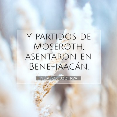 Picture 07 - Números 33:31 RVA - Y partidos de Moseroth, asentaron en - Bible Verse Picture