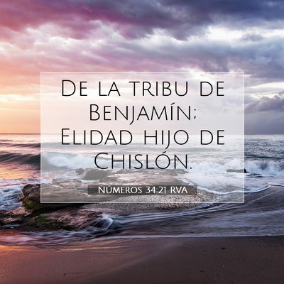 Picture 07 - Números 34:21 RVA - De la tribu de Benjamín; Elidad hijo de - Bible Verse Picture