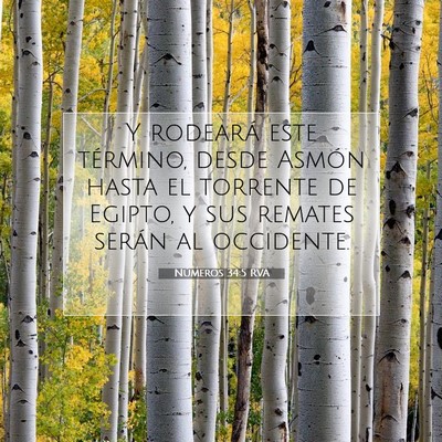 Picture 07 - Números 34:5 RVA - Y rodeará este término, desde Asmón hasta el - Bible Verse Picture