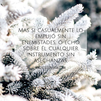 Picture 07 - Números 35:22 RVA - Mas si casualmente lo empujó sin enemistades, ó - Bible Verse Picture