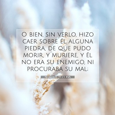 Picture 07 - Números 35:23 RVA - O bien, sin verlo, hizo caer sobre él alguna - Bible Verse Picture