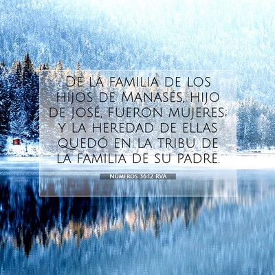 Picture 07 - Números 36:12 RVA - De la familia de los hijos de Manasés, hijo de - Bible Verse Picture