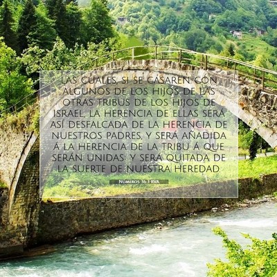 Picture 07 - Números 36:3 RVA - Las cuales, si se casaren con algunos de los - Bible Verse Picture