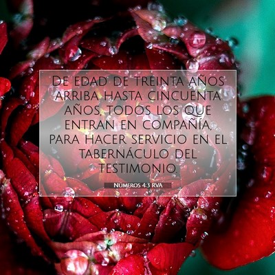 Picture 07 - Números 4:3 RVA - De edad de treinta años arriba hasta cincuenta - Bible Verse Picture