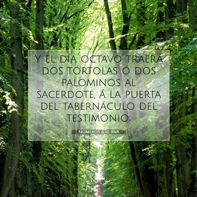 Picture 07 - Números 6:10 RVA - Y el día octavo traerá dos tórtolas ó dos - Bible Verse Picture