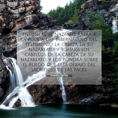 Picture 07 - Números 6:18 RVA - Entonces el Nazareo raerá á la puerta del - Bible Verse Picture