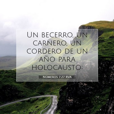 Picture 07 - Números 7:27 RVA - Un becerro, un carnero, un cordero de un año - Bible Verse Picture