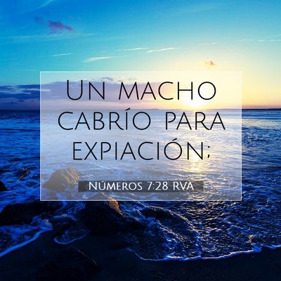 Picture 07 - Números 7:28 RVA - Un macho cabrío para - Bible Verse Picture