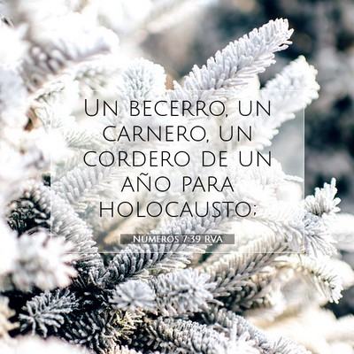 Picture 07 - Números 7:39 RVA - Un becerro, un carnero, un cordero de un año - Bible Verse Picture