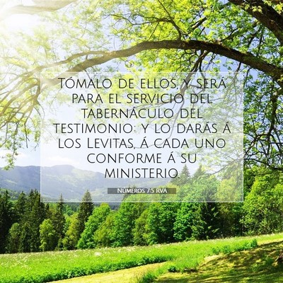 Picture 07 - Números 7:5 RVA - Tómalo de ellos, y será para el servicio del - Bible Verse Picture